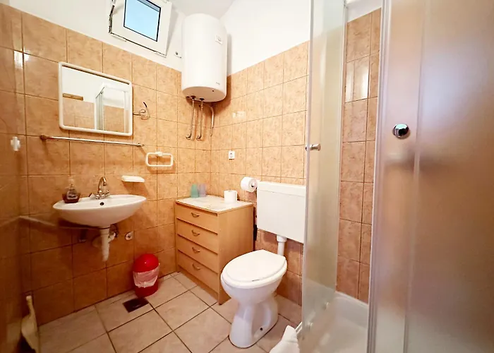 Tomo * זאוסטרוג