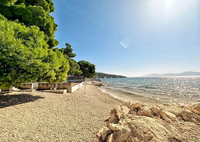 Tomo זאוסטרוג